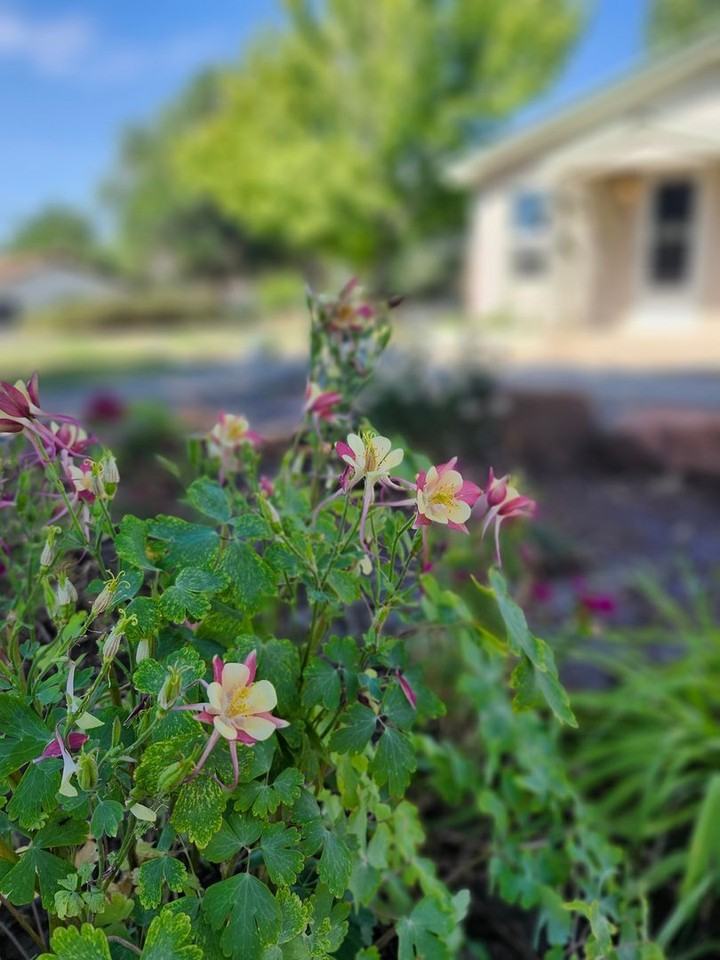 235 S Market St - Photo 2 of 14