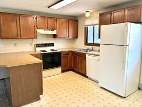 4918 Basswood Dr - Photo 1 of 1
