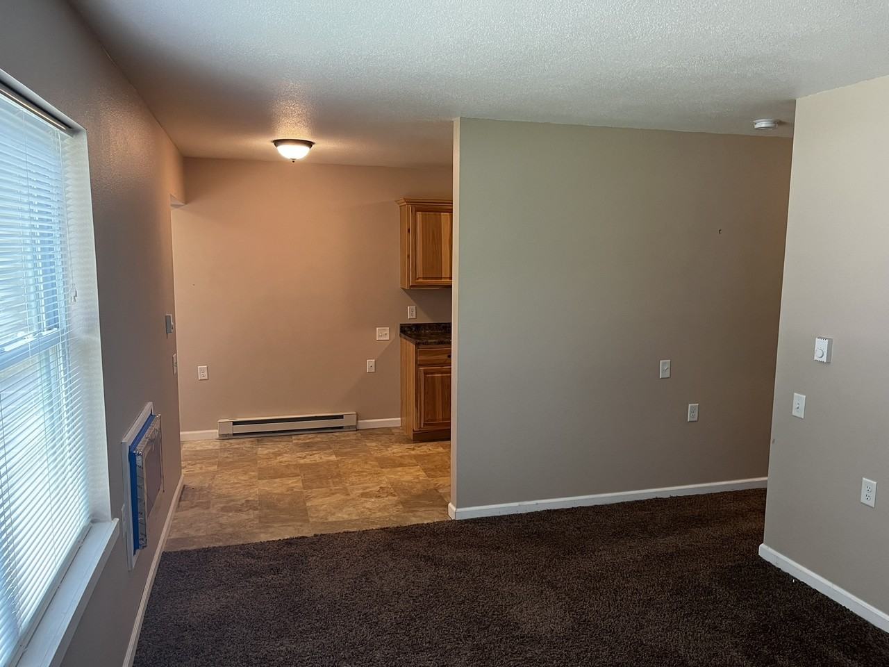 Elm Drive - Loyal - Photo 6 of 11