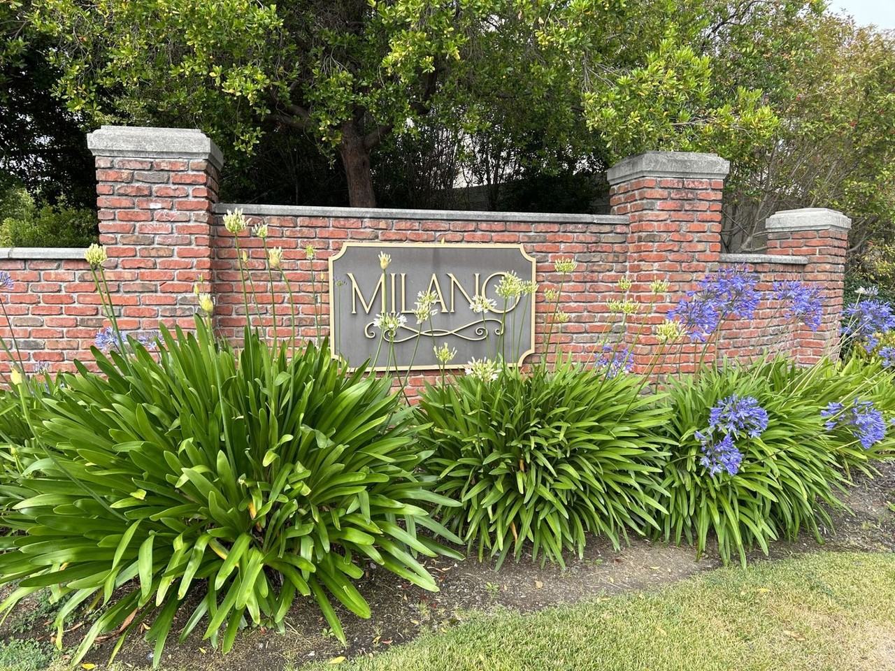 3906 Glacier Ct - Photo 2 of 41