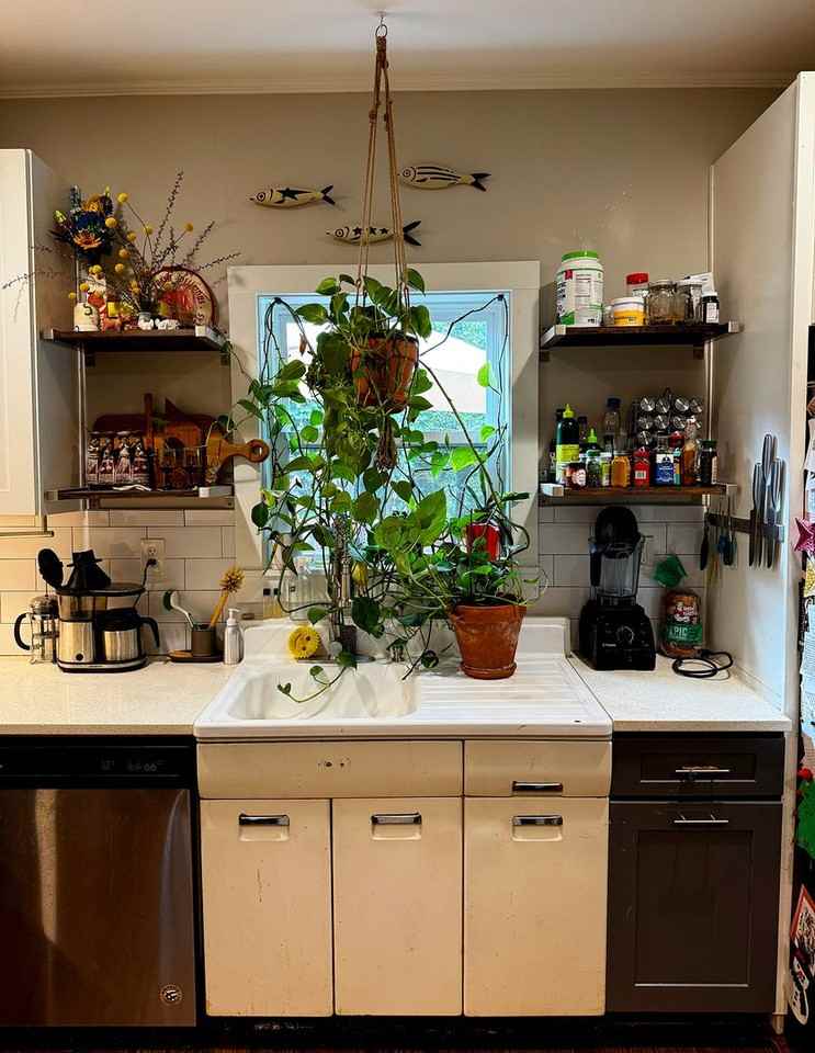 50 Hale St - Photo 7 of 24