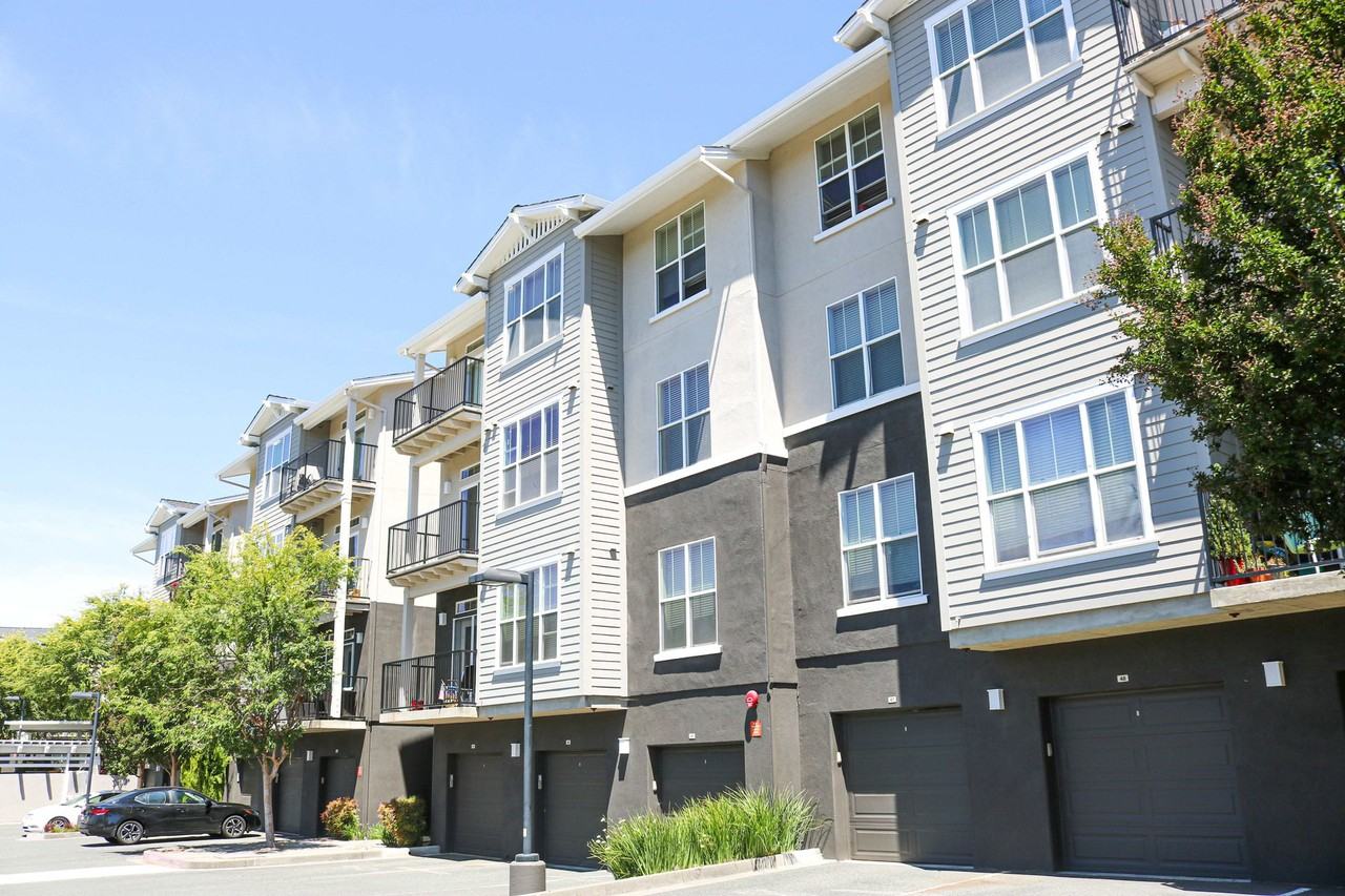 The Meadows at Fountaingrove - Photo 7 of 32