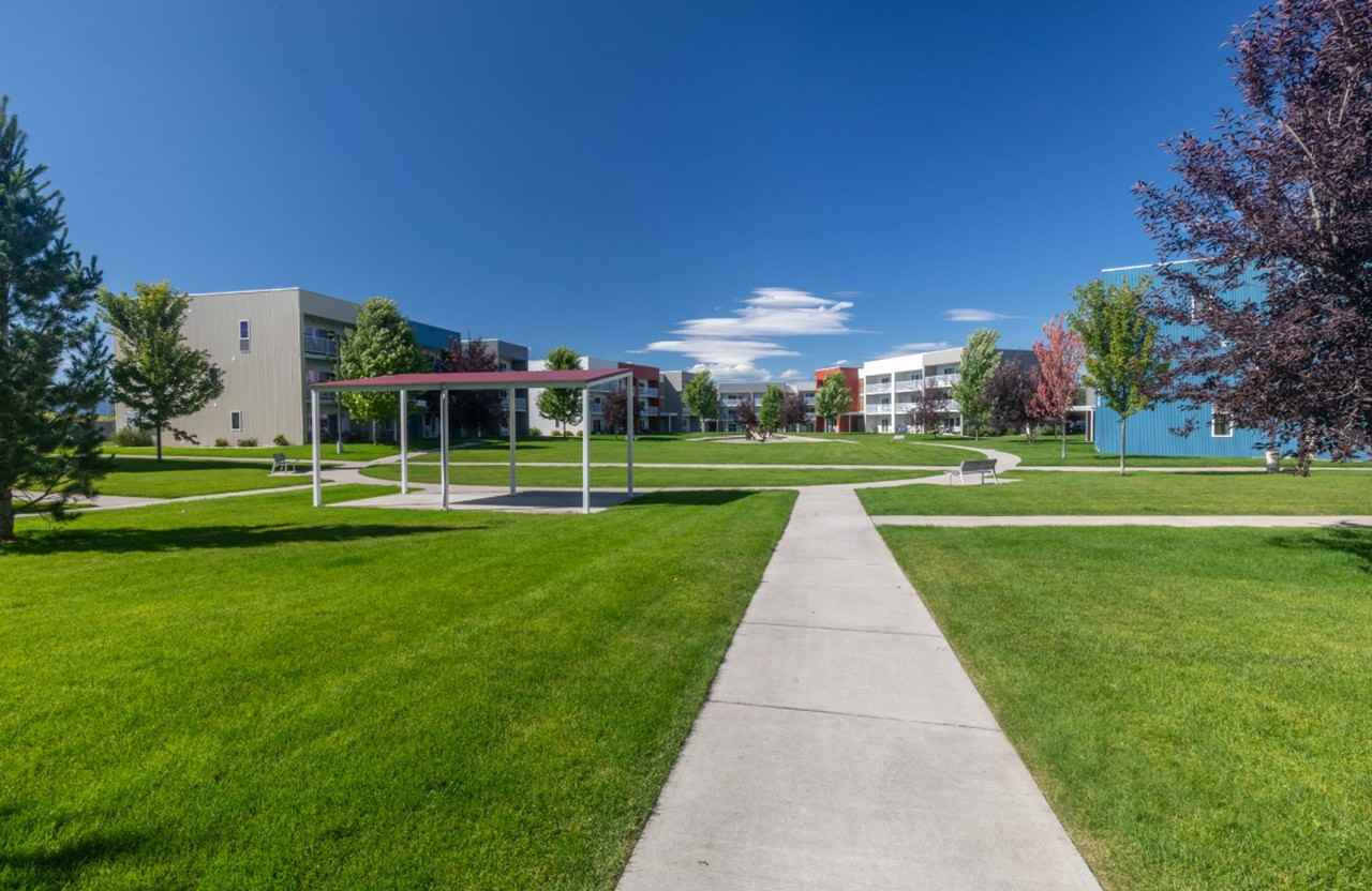 Treeline Village - Photo 4 of 26