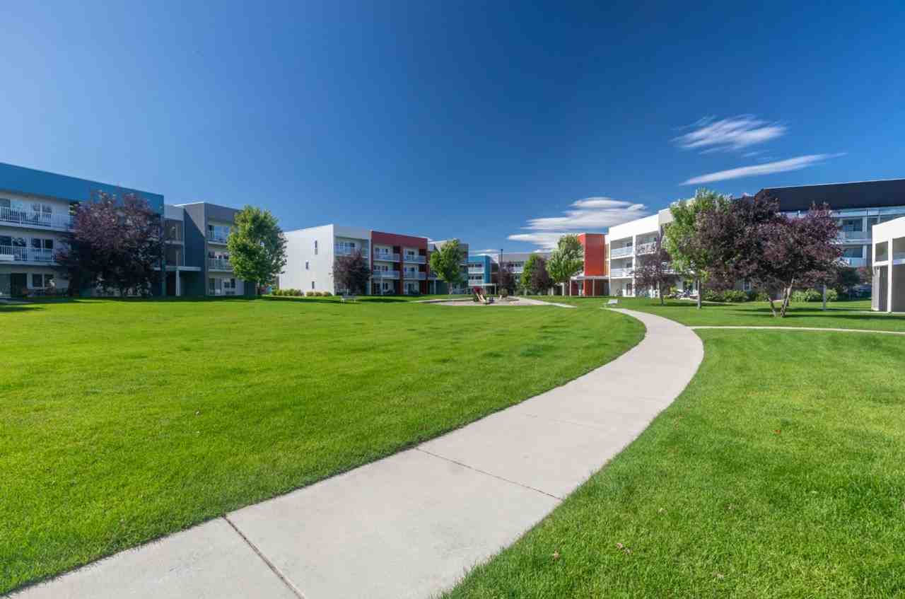 Treeline Village - Photo 5 of 26