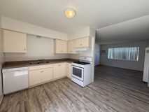 962 - Down Property - Photo 1 of 1