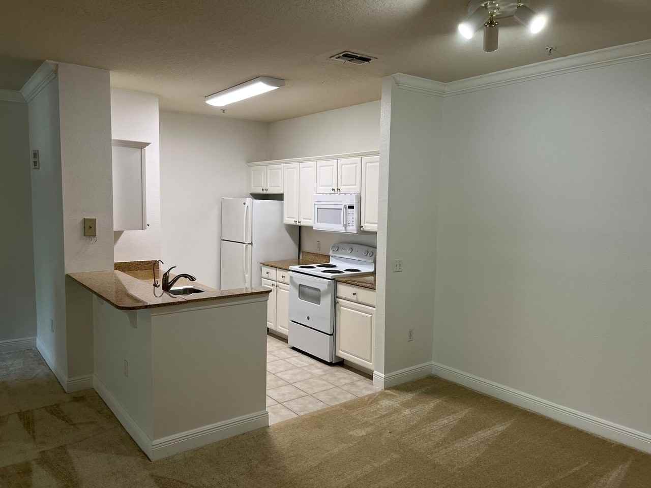 1301 1301 Eastern Pecan Place-207 #207 - Photo 3 of 12