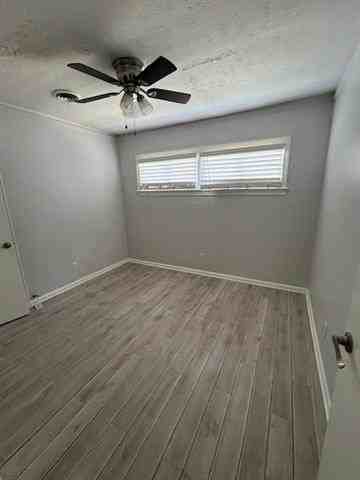 7326 Cameo Street - Photo 5 of 6