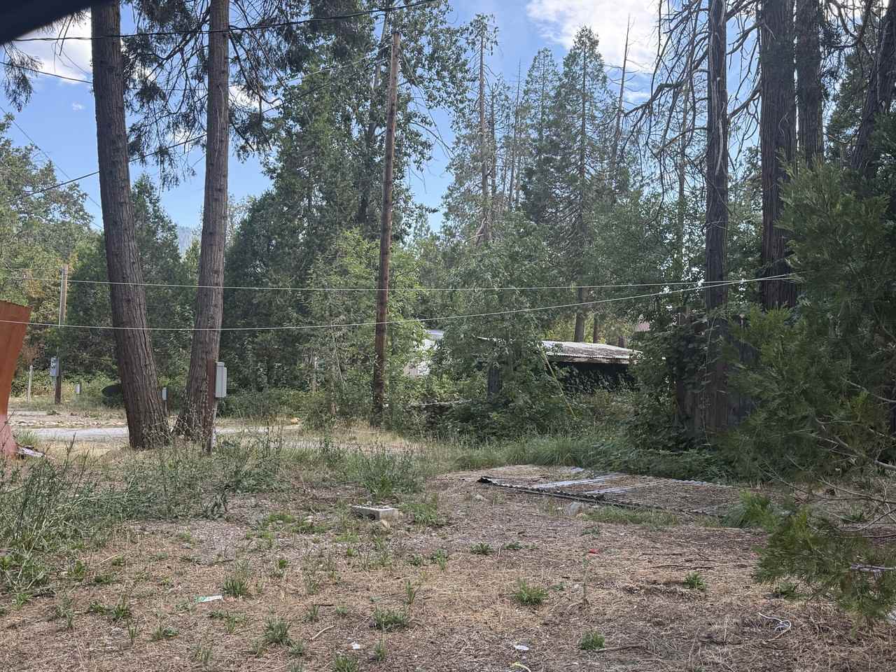 30877 Crag View Dr - Photo 3 of 4