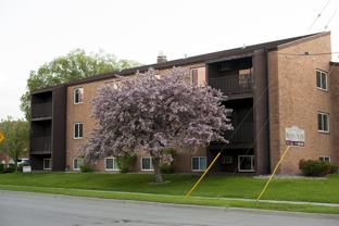 Tea Leaf Apartments - Photo 1 of 1