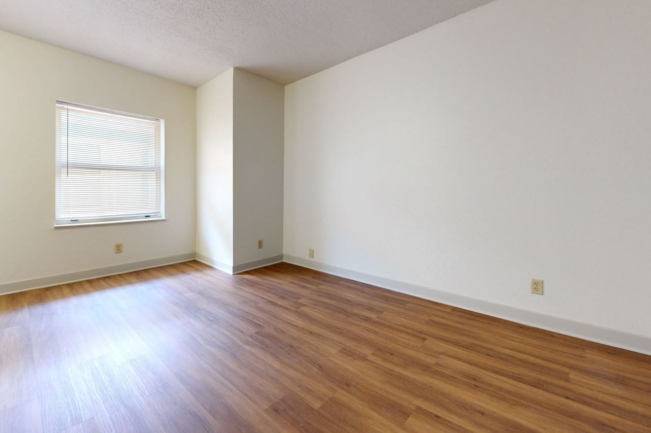 Alexander - Photo 2 of 18