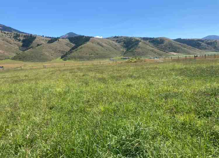 241 Highway #A - Photo 2 of 2