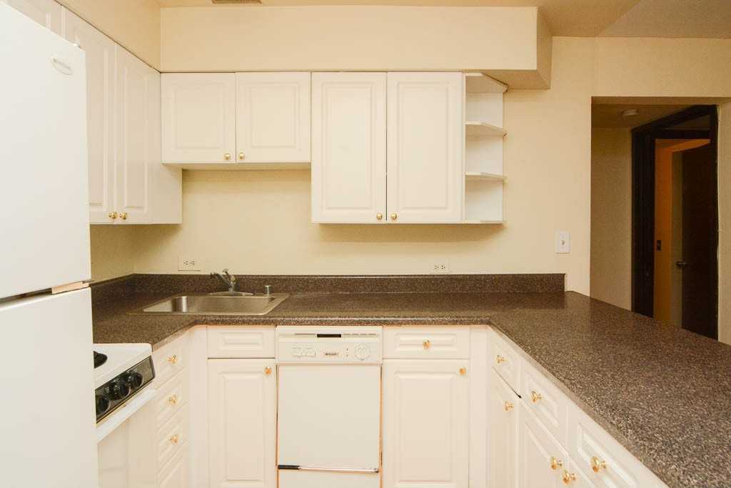 1220 N La Salle Dr #4A - Photo 4 of 21