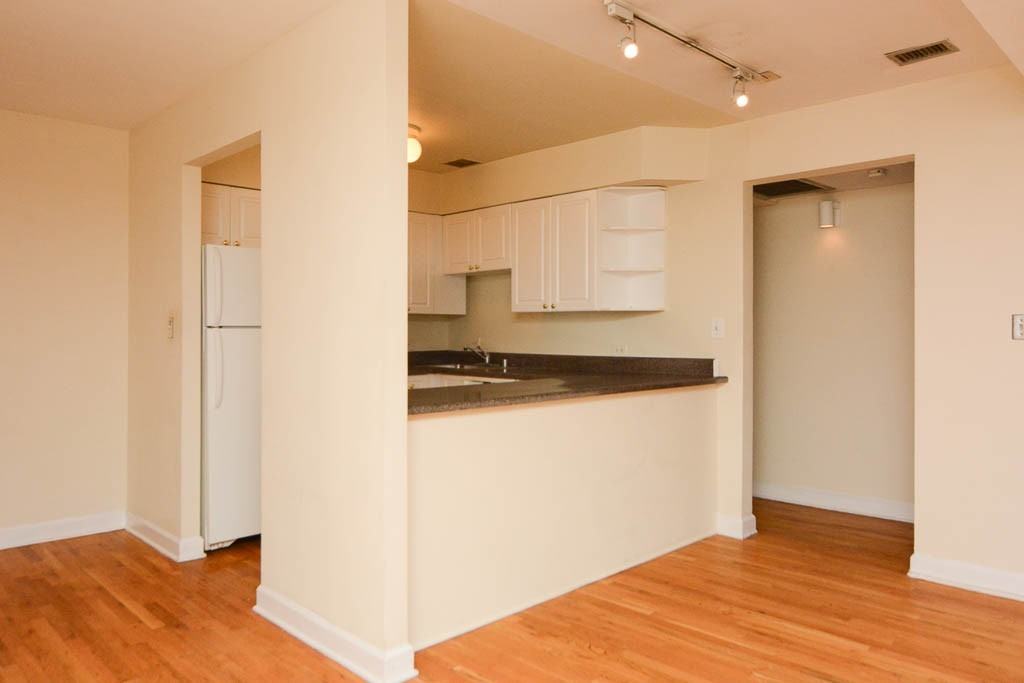 1220 N La Salle Dr #4A - Photo 5 of 21