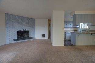 #138 THE FIRS - Photo 1 of 1