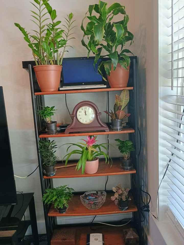 14437 Southwest 21st Place #NA - Photo 3 of 6