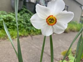 featured image of 2345 Fulton St