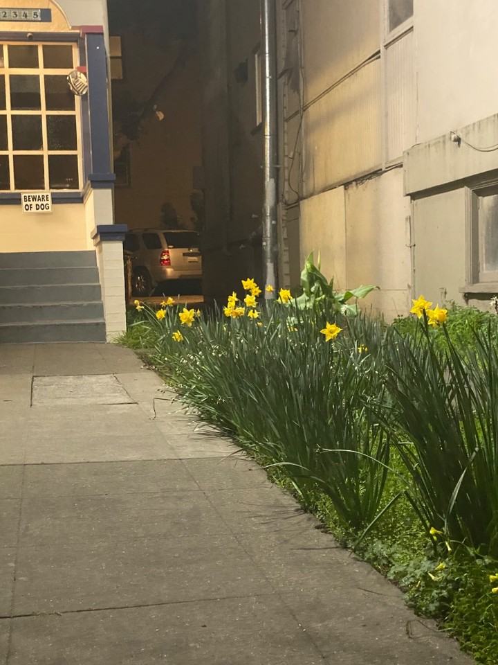 2345 Fulton - Photo 2 of 20