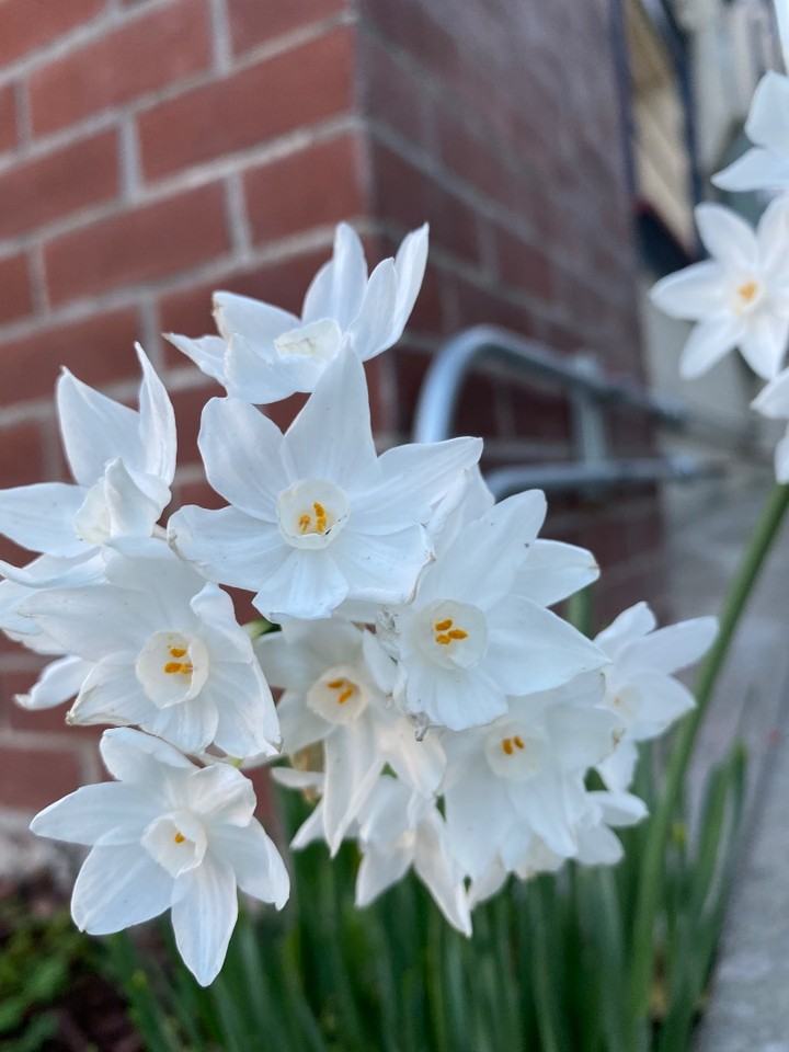 2345 Fulton - Photo 3 of 20