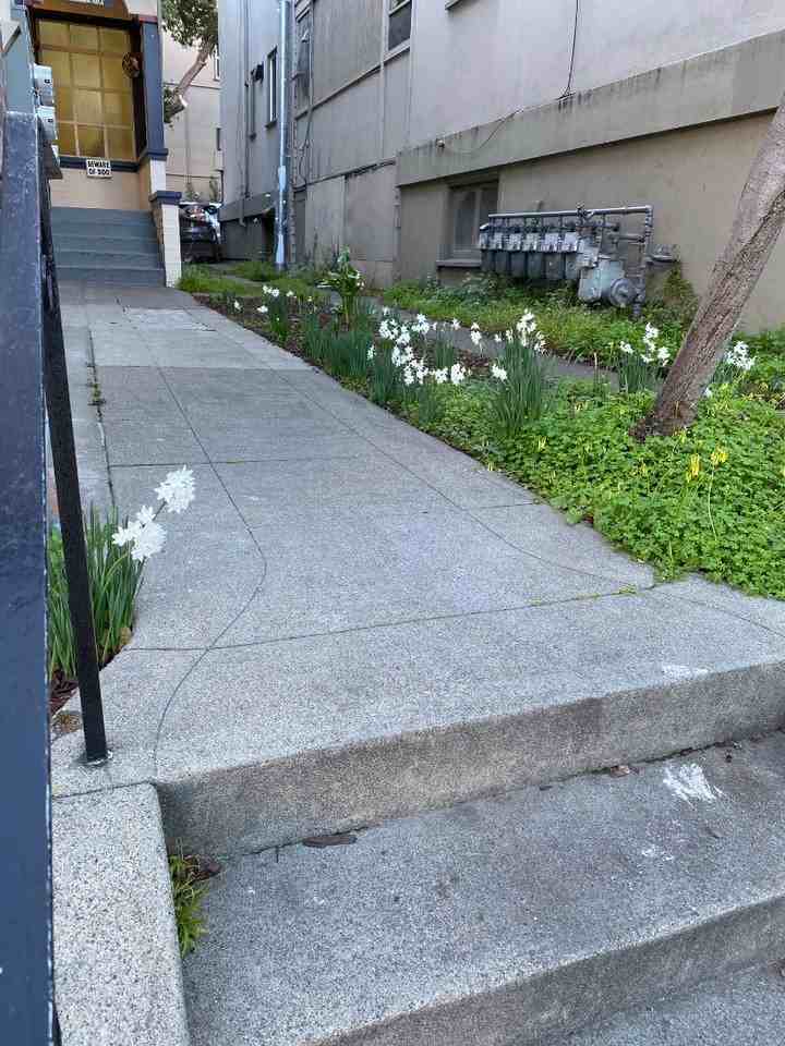 2345 Fulton - Photo 4 of 20