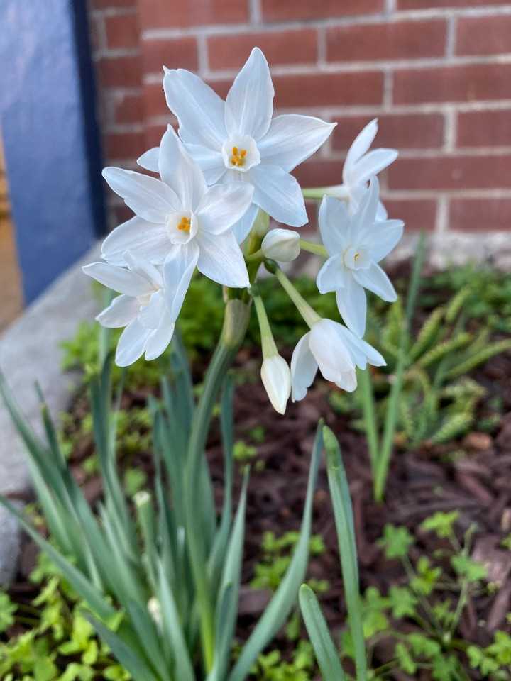 2345 Fulton - Photo 5 of 20