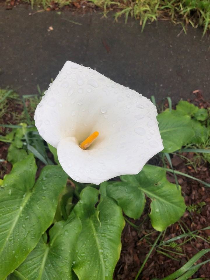 2345 Fulton - Photo 6 of 20