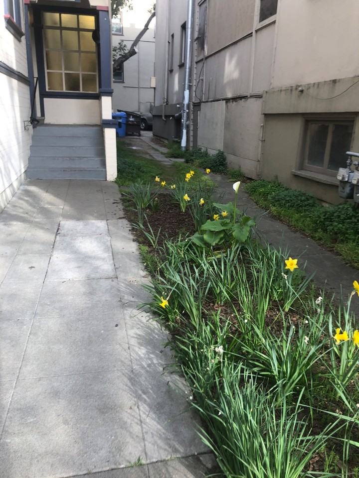 2345 Fulton - Photo 7 of 20