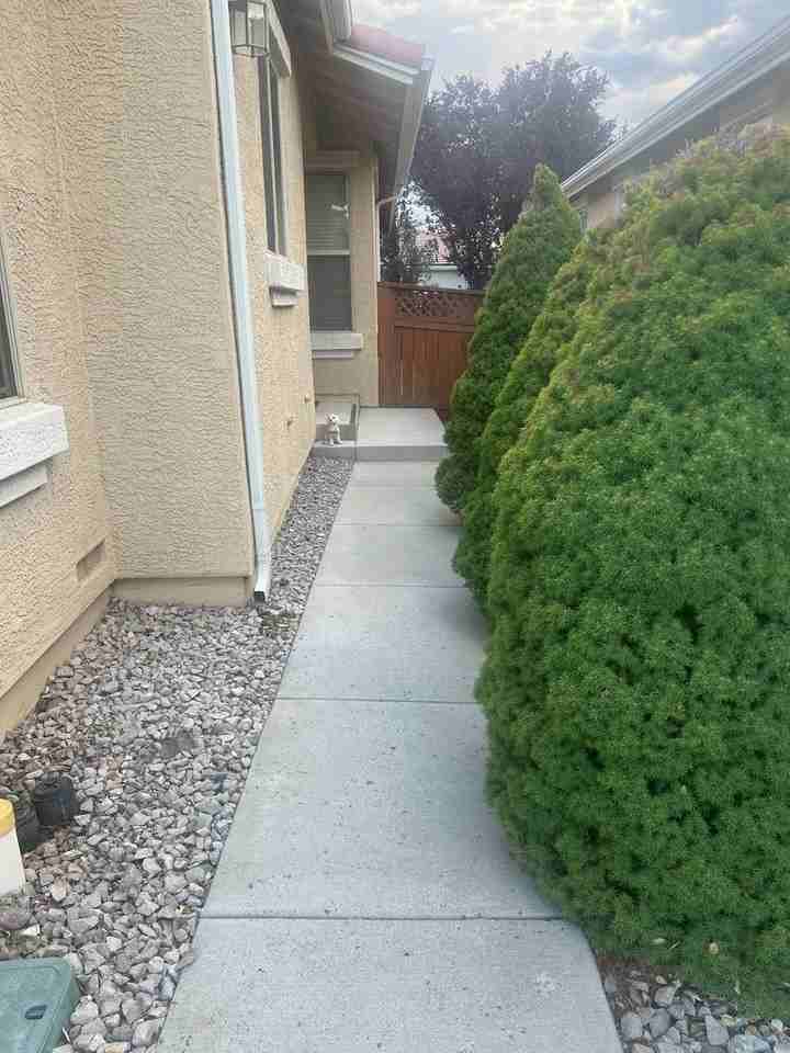 1439 Medolla Dr - Photo 2 of 19