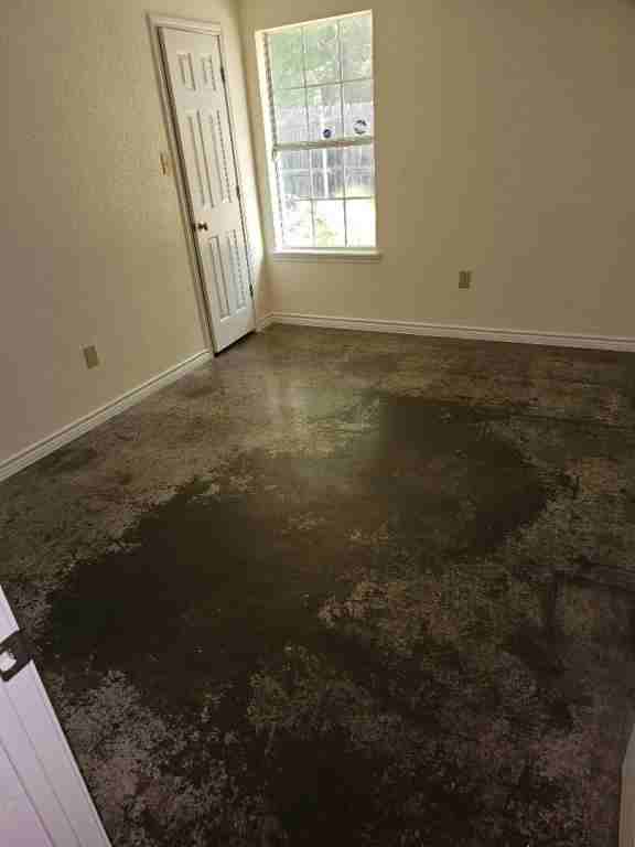 100 Surrey Ln - Photo 6 of 11