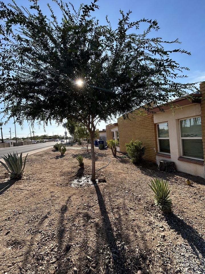 20 W Southern Ave #A - Photo 6 of 21