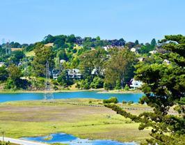 189 Morning Sun Ave - Photo 1 of 1