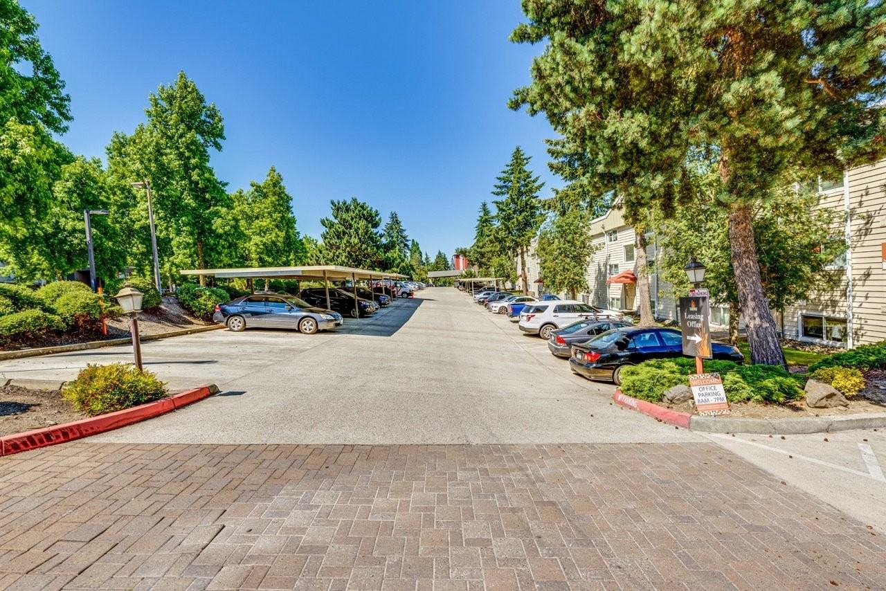 Landing at Angle Lake - Photo 2 of 17