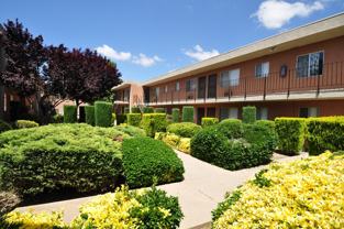 Ashwood Apartments - Photo 1 of 1