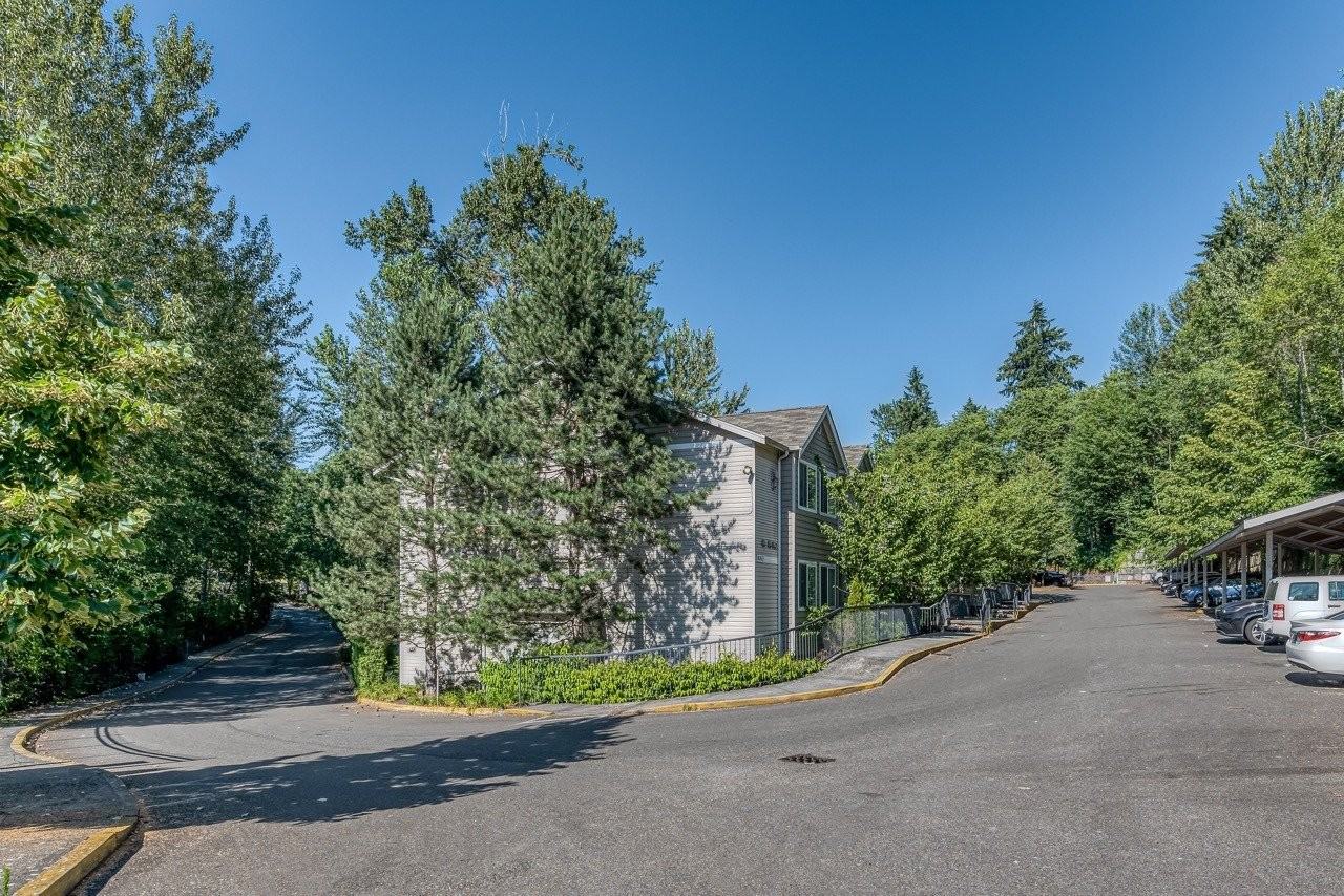 Springbrook Reserve - Photo 2 of 12