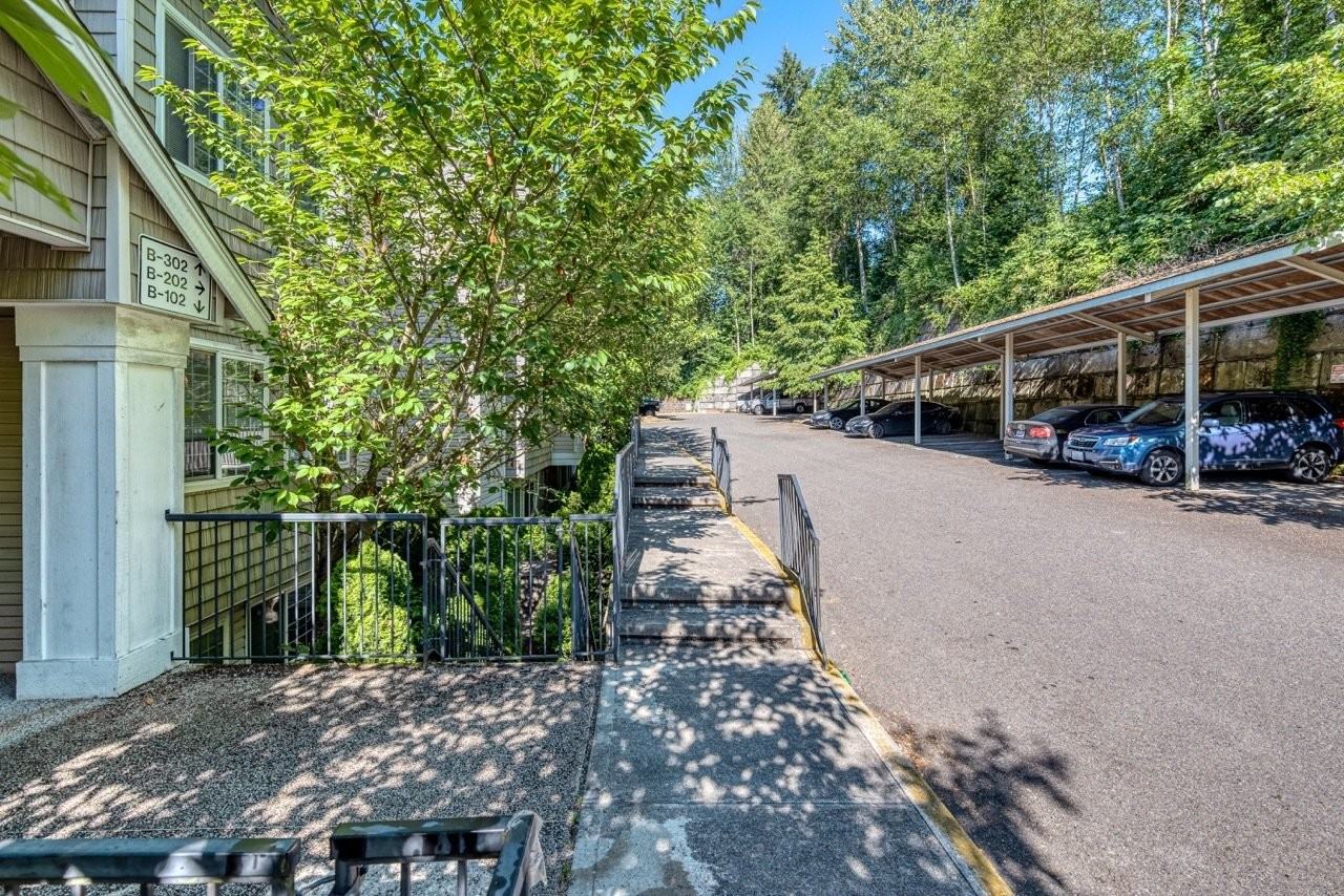 Springbrook Reserve - Photo 3 of 12