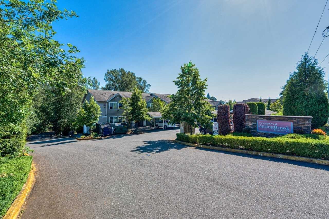 Springbrook Reserve - Photo 4 of 12