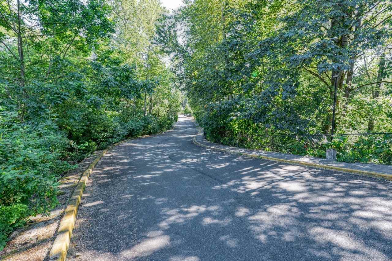 Springbrook Reserve - Photo 5 of 12