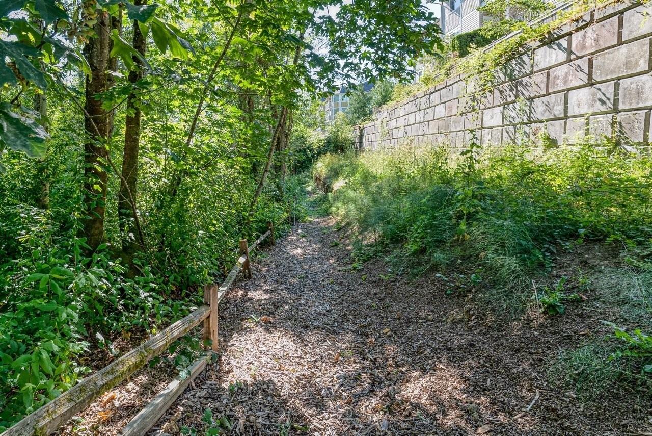 Springbrook Reserve - Photo 7 of 12