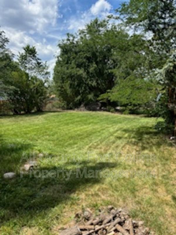 1990 Dorset Dr - Photo 4 of 21