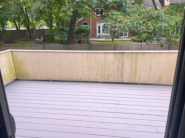 29 Nicole Ter - Photo 6 of 19