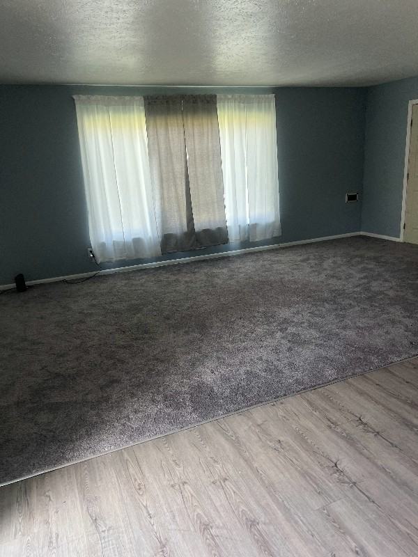 7903 Ackley Rd #7903 - Photo 3 of 14