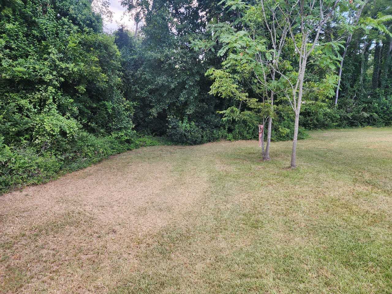 109 Powell St #NA - Photo 2 of 14