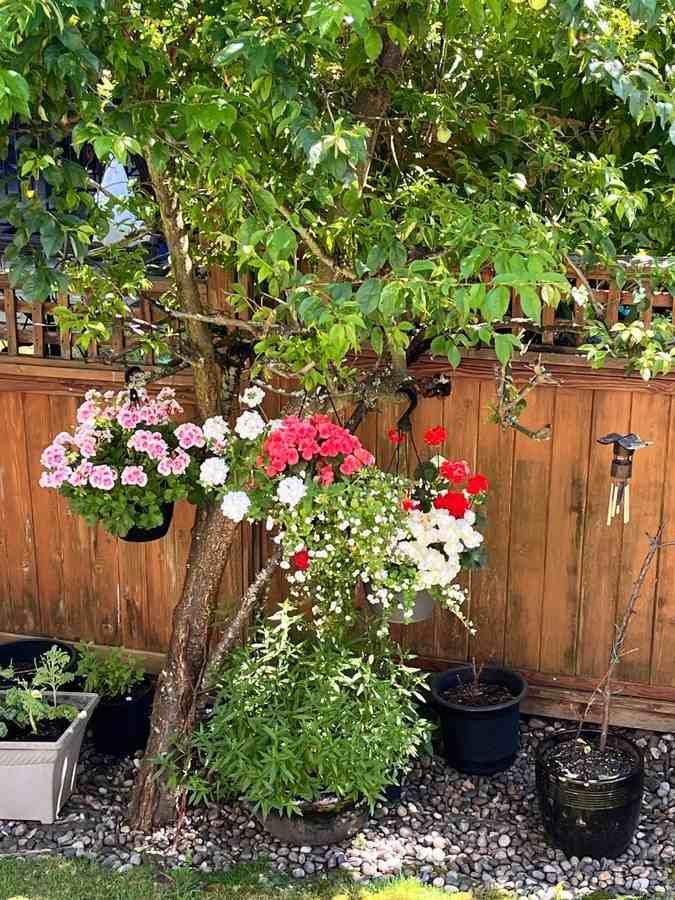 152 St & 62 Ave - Photo 5 of 15