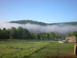 featured image of 150 Robinson St #150A