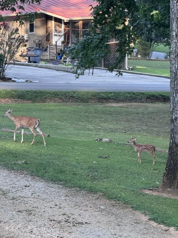 49 Countryside Ln - Photo 3 of 25