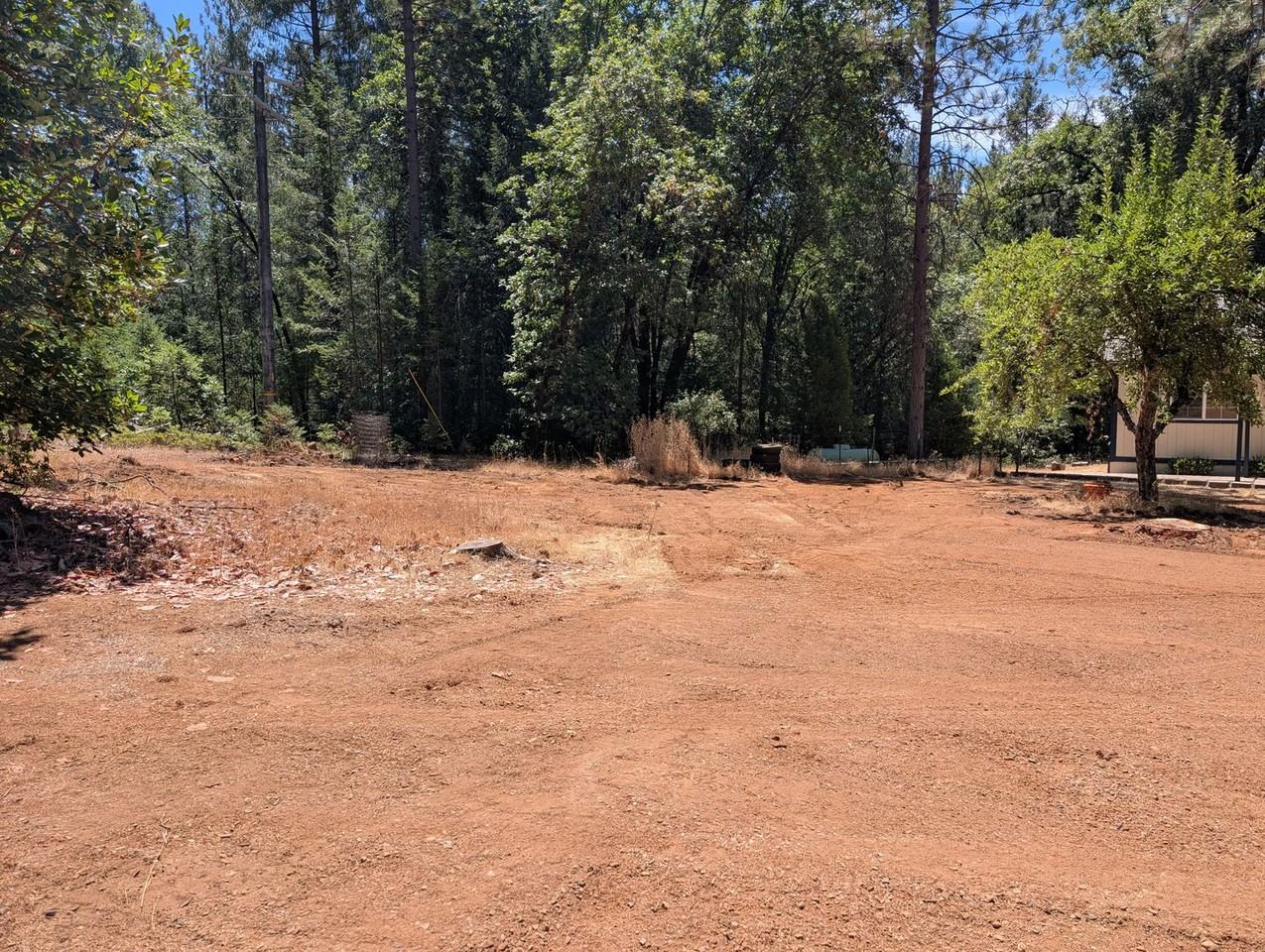 14320 Dandee Hill Rd - Photo 3 of 19