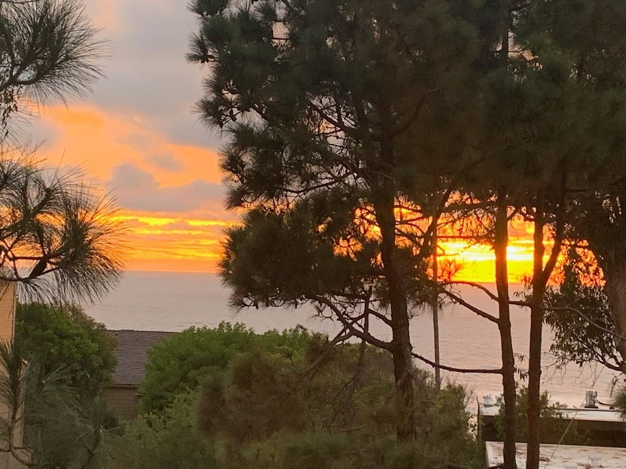 Los Arboles Apartments - Photo 6 of 32