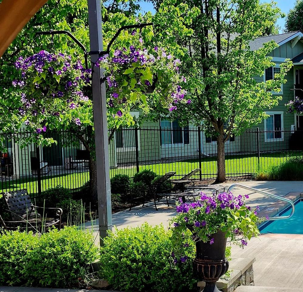 Selkirk Lodge Apartments - Photo 3 of 50