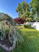 featured image of 24 Indian Park Rd