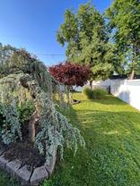 24 Indian Park Rd - Photo 1 of 1
