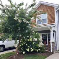 featured image of 1025 Baldwin Commons Dr #1025